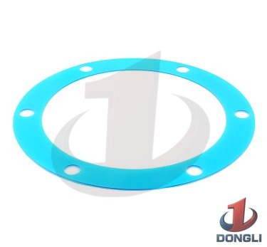 Crankshaft Bearing Housing Shim for FMC Bean L09HD Series