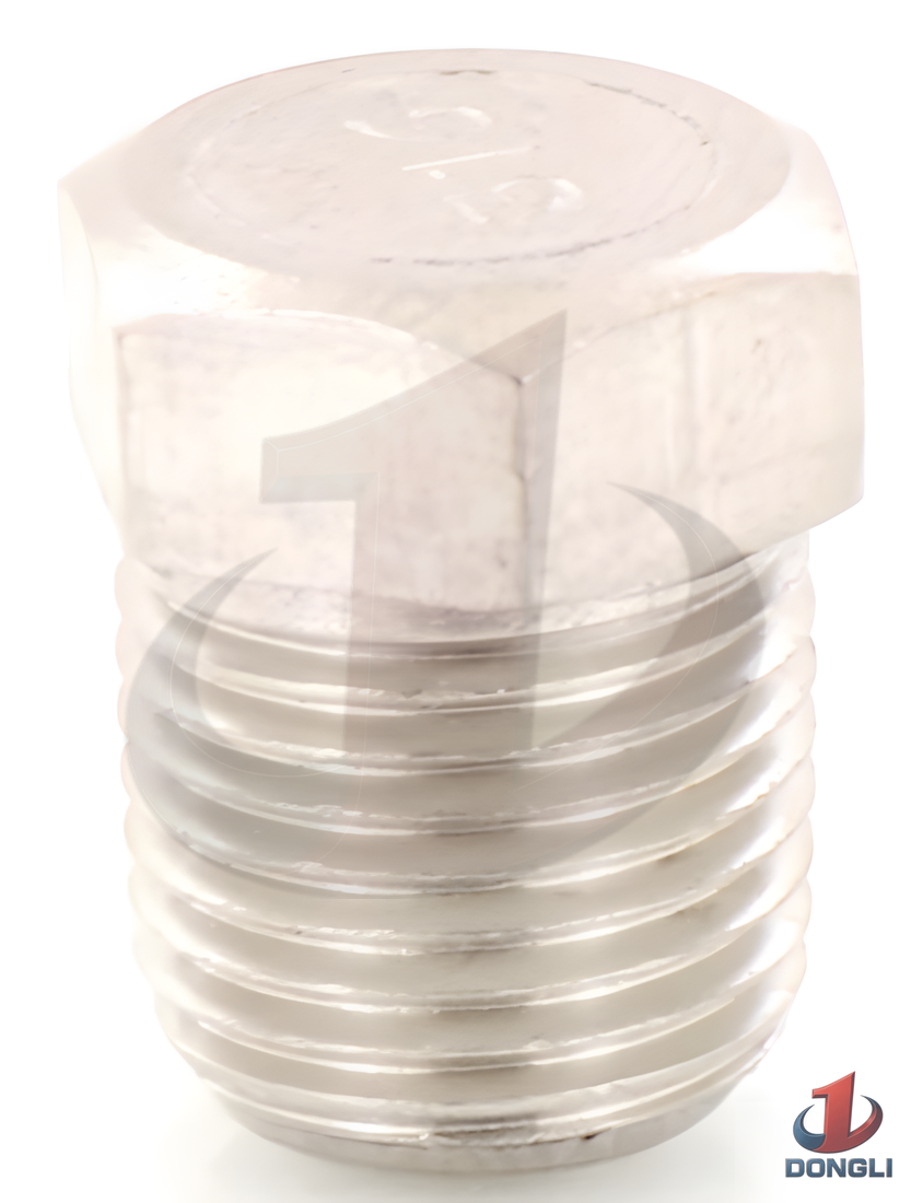 Pipe Plug 1/8 Inch NPT