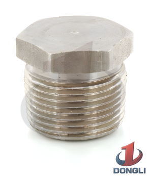 Pipe Plug 1 Inch