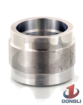 Pony Rod Oil Seal Holder for FMC BEAN I04 Series